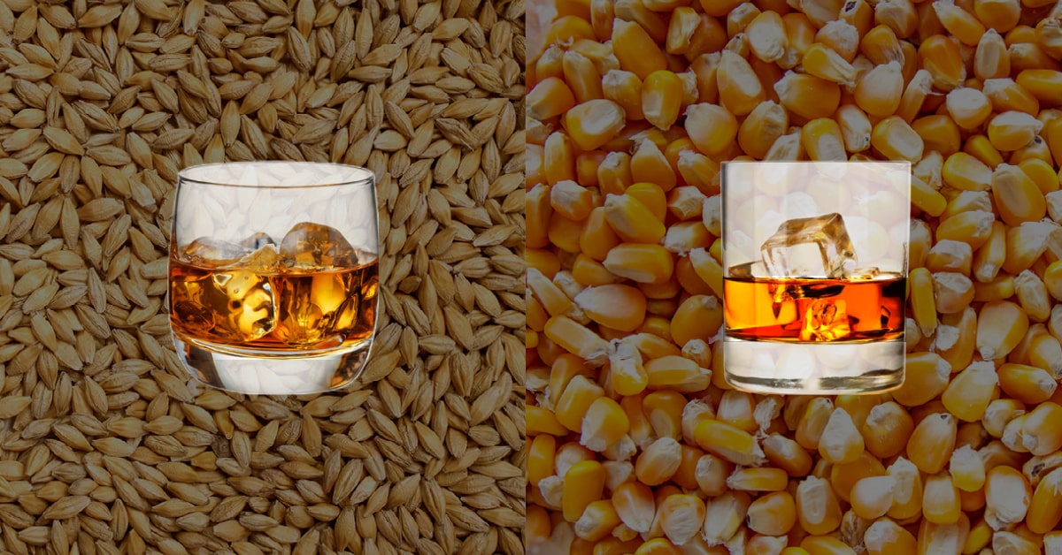 irish whiskey vs bourbon depicted by an irish whiskey glass over a malted barley background and a bourbon glass over a corn background